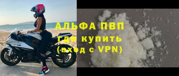 крисы Абаза
