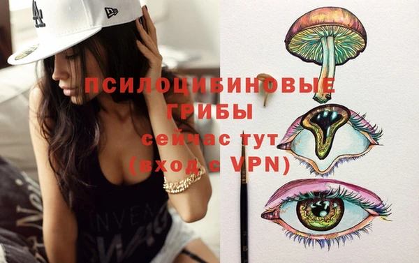 крисы Абаза
