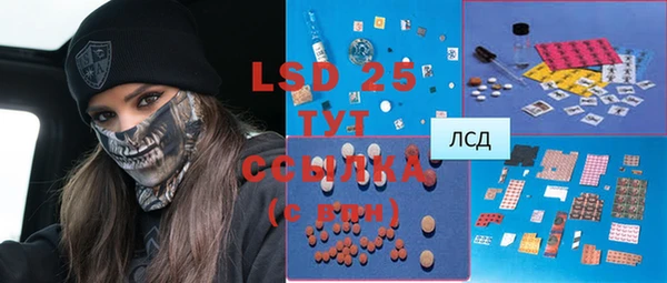 крисы Абаза